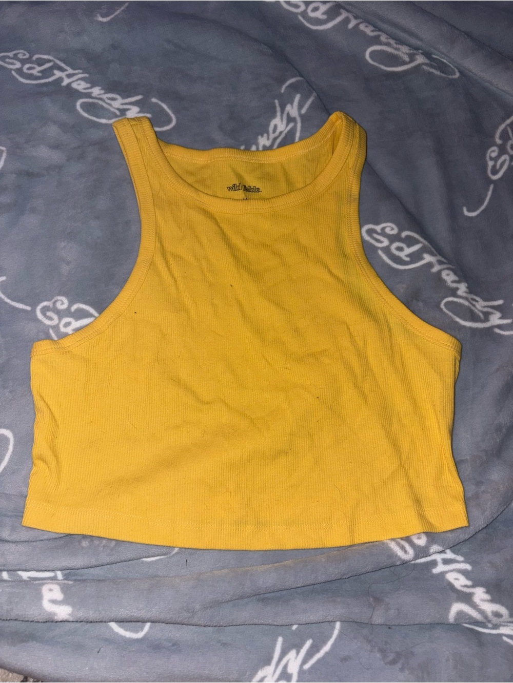Wild Fable Crop Tank Top